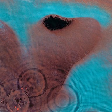 CD PINK FLOYD/ MEDDLE (SONY) 1CD - 1