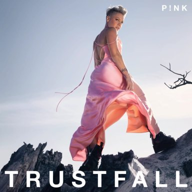 VINILO PINK/ TRUSTFALL 1LP - 1