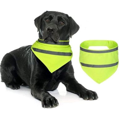 BANDANA REFLECTANTE PARA PERROS Y GATOS. PAÑOLETA DE MASCOTA S - 1