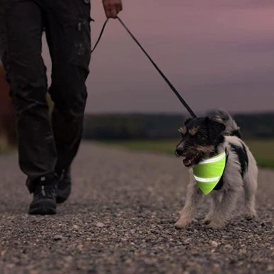 BANDANA REFLECTANTE PARA PERROS Y GATOS. PAÑOLETA DE MASCOTA S - 2