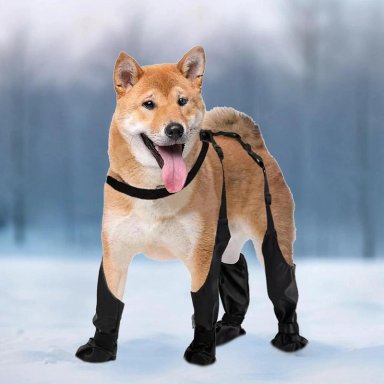 BOTAS IMPERMEABLES PERRO ANTIDESLIZANTE LLUVIA AGUA TALLA S - 3