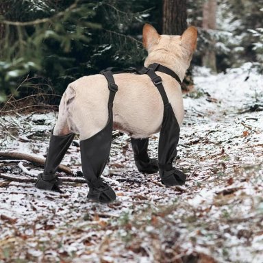 BOTAS IMPERMEABLES PERRO ANTIDESLIZANTE LLUVIA AGUA TALLA S - 6