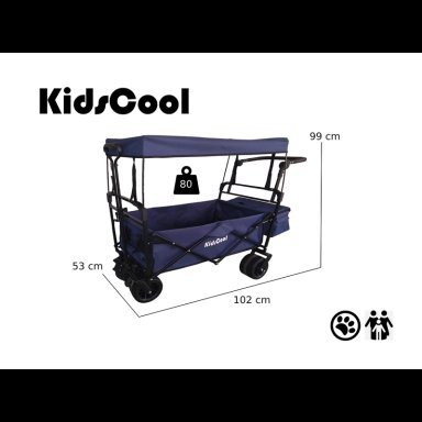 CARRITO WAGON PLEGABLE CON TECHO AZUL - 2