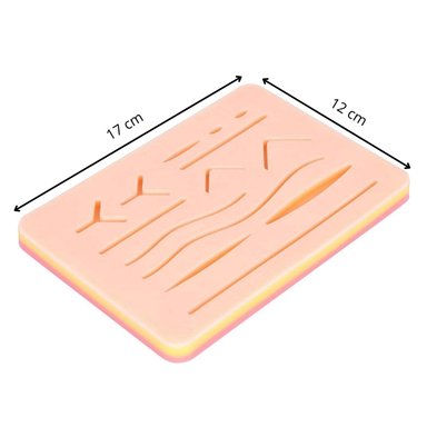 KIT PRÁCTICA SUTURA: PIEL + TIJERAS + PINZAS + SUTURAS - 3