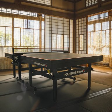 MESA PING PONG COMPETICIÓN SANKE ORANGE KUROSAWA - 11