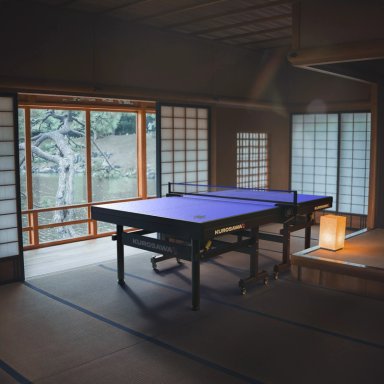 MESA PING PONG COMPETICIÓN SANKE BLACK KUROSAWA - 11