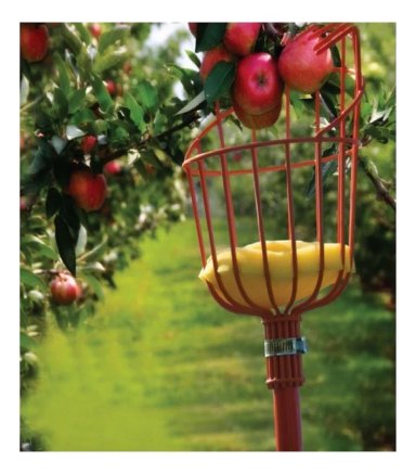 RECOLECTOR DE FRUTA TIPO CANASTILLO S/MANGO TRUPER (FRUT) - 3