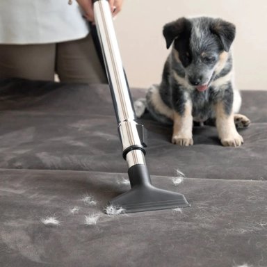 ASPIRADORA SIN BOLSA KARCHER VCL 3 CYCLONIC - 8