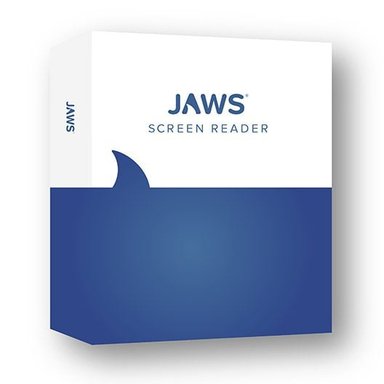 SOFTWARE JAWS LECTOR DE PANTALLA - 2