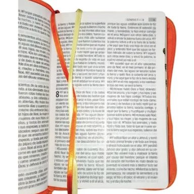 BIBLIA REINA VALERA 1960 LETRA GRANDE 12 PUNTOS CIERRE INDICE EN ESPAÑOL - 5