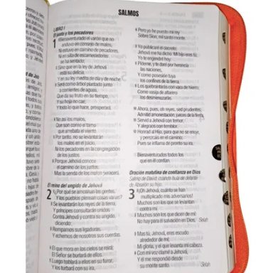 BIBLIA REINA VALERA 1960 LETRA GRANDE 12 PUNTOS CIERRE INDICE EN ESPAÑOL - 6