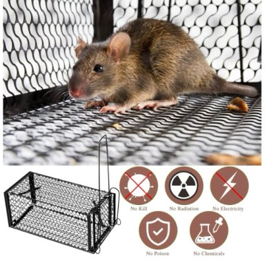 PAQUETE 2 TRAMPAS PARA RATAS HUMANITARIAS - 4