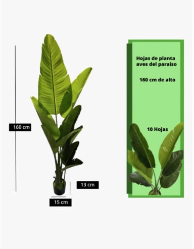 PLANTA ARTIFICIAL DE AVE DEL PARAISO - 2