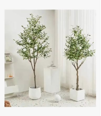 OLIVO ARTIFICIAL - 2