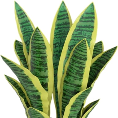 PLANTA ARTIFICIAL LENGUA DE SUEGRA PLANTA SANSEVIERIA FLORES - 5