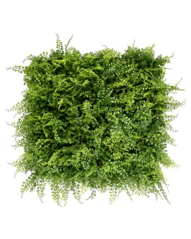 JARDIN VERTICAL 50X50 CM SELVATICO (ECONOMICO) - MARVY - 1