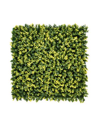 JARDIN VERTICAL 50X50 CM VERDE AMBAR (ECONOMICO) - MARVY - 1