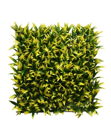 JARDIN VERTICAL 50X50 CM MAÑIO (EDICION LIMITADA) - MARVY - 1
