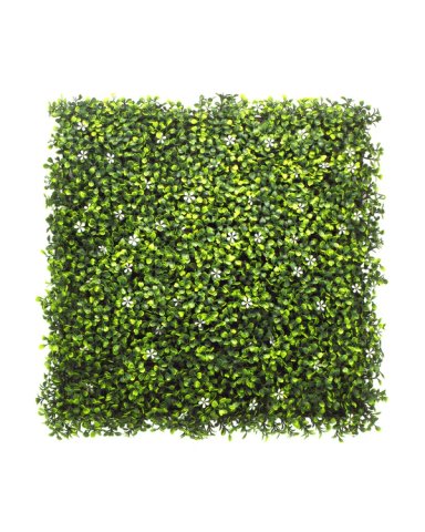 JARDIN VERTICAL 50X50 CM BOXWOOD JAZMIN (ECONOMICO) - MARVY - 1