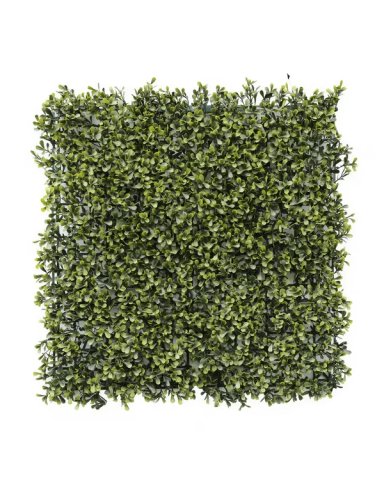 JARDIN VERTICAL 50X50 CM VERDE JADE (ECONOMICO) - MARVY - 1