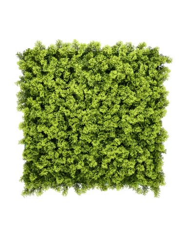 JARDIN VERTICAL 50X50 CM ENCANTO SILVESTRE (ECONOMICO) - MARVY - 1