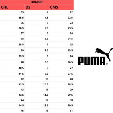 ZAPATILLAS DE RUNNING PUMA FLEXFOCUS LITE MODERN HOMBRE | 311481 01 - 6