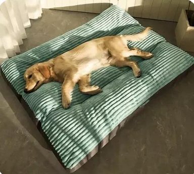 CAMA ORTOPÉDICA ANTIESTRÉS PREMIUM 110 CM PARA PERROS VERDE - 3