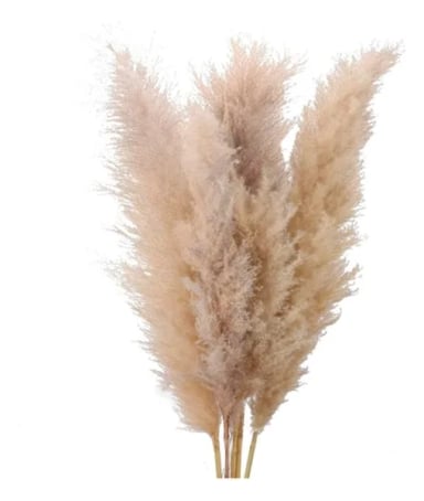 RAMAS PAMPAS GRASS 3 UDS DECORACION - 1