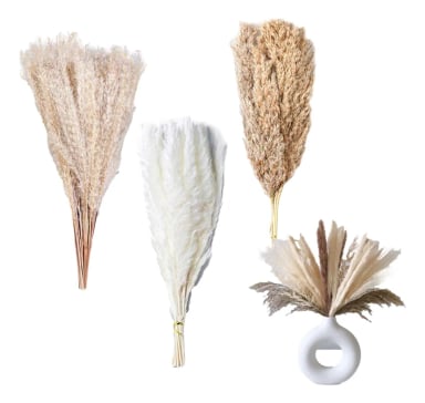 PAMPAS SECAS 90 UDS PLANTAS DECORATIVAS - 1