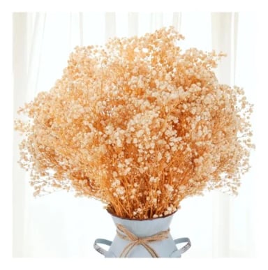 FLORES SECAS GYPSOPHILA FRONDOSA DECORACION - 2