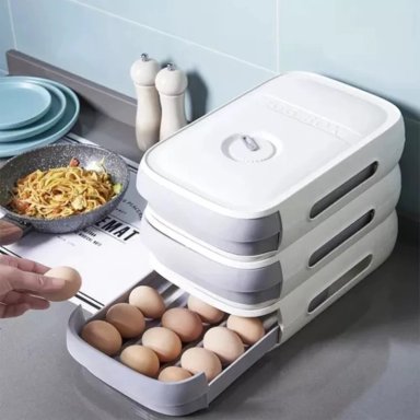 ORGANIZADOR DE HUEVOS CAJA PARA 18 - 21 UNIDADES - 2