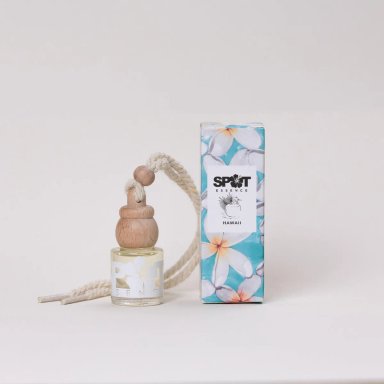 AEROSOL SPOT ESSENCE 500 ML SPRAY HOME BERRIES BLOSSOM AMBAR - 1