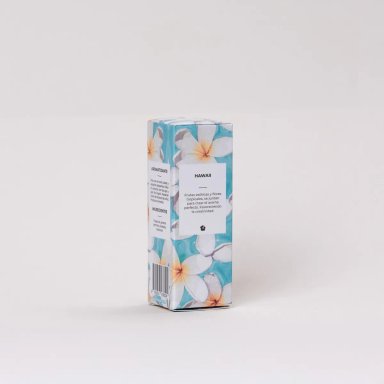 AEROSOL SPOT ESSENCE 500 ML SPRAY HOME BERRIES BLOSSOM AMBAR - 3