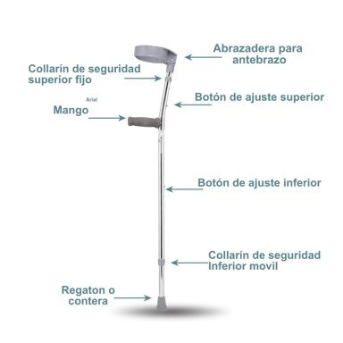 BASTON CANADIENSE AJUSTABLE CON CODERA MOVIL - 2