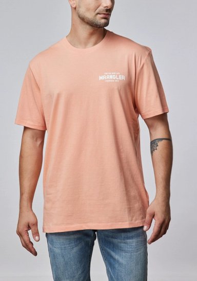 POLERA HOMBRE GRAPHIC TEE BRANDED MELON - 1