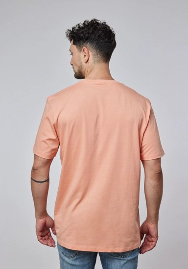 POLERA HOMBRE GRAPHIC TEE BRANDED MELON - 2
