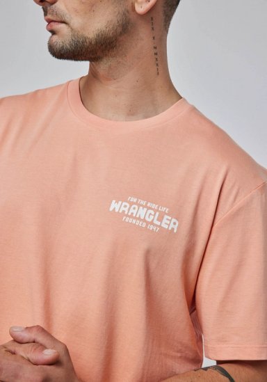POLERA HOMBRE GRAPHIC TEE BRANDED MELON - 3
