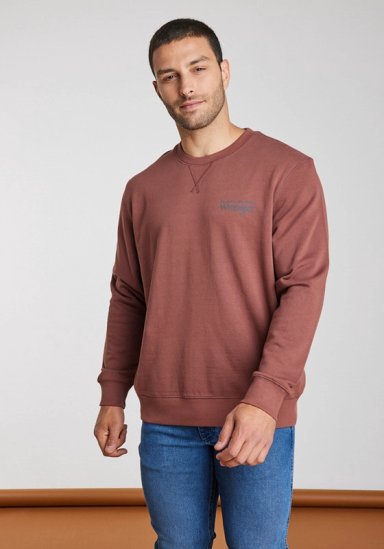 POLERON HOMBRE GRAPHIC SWEATSHIRT BROWN ROOT - 1