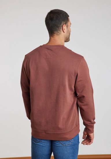 POLERON HOMBRE GRAPHIC SWEATSHIRT BROWN ROOT - 2
