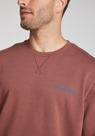 POLERON HOMBRE GRAPHIC SWEATSHIRT BROWN ROOT - 3