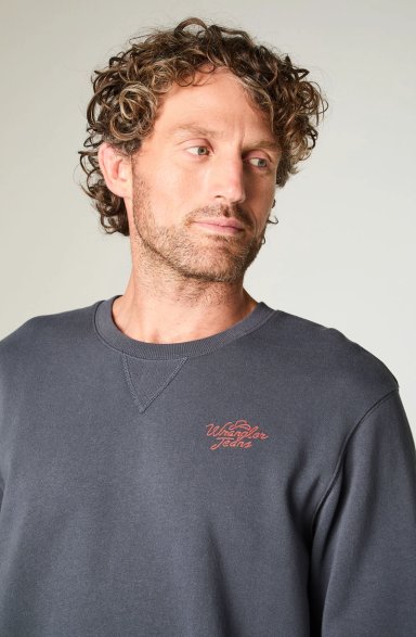 POLERON HOMBRE CREWNECK GRAPHIC REGULAR FIT GRIS - 3