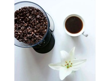 MOLINILLO DE CAFE OSTER BVSTBMH23 - 4