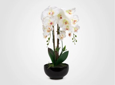 PLANTA DECORATIVA RIPLEY HOME ORQUIDEA MACETA BLANCA 62 CM - 1