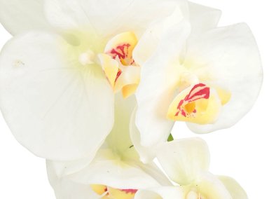 PLANTA DECORATIVA RIPLEY HOME ORQUIDEA MACETA BLANCA 62 CM - 2