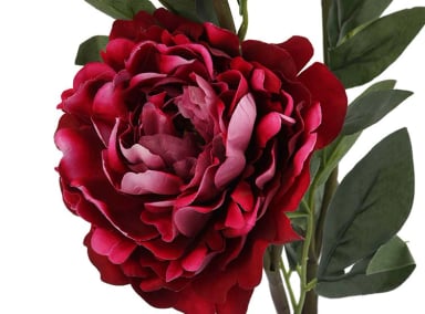 PEONIA RIPLEY HOME 3 FLORES BURDEO 93CM - 3