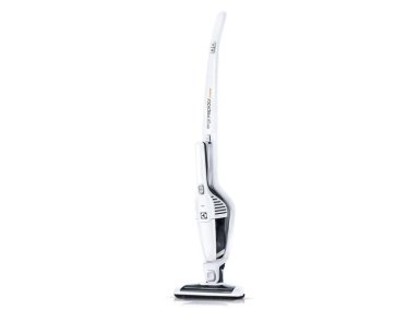 ASPIRADORA TRINEO ELECTROLUX ERGO 21 - 3