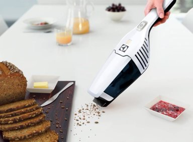 ASPIRADORA TRINEO ELECTROLUX ERGO 21 - 9