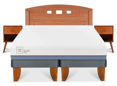 JUEGO DE DORMITORIO CIC CAMA EUROPEA EXCELLENCE PLUS BD 2 PLAZAS + SET NEW GALES - 1