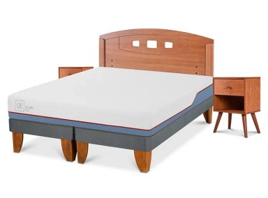 JUEGO DE DORMITORIO CIC CAMA EUROPEA EXCELLENCE PLUS BD 2 PLAZAS + SET NEW GALES - 2