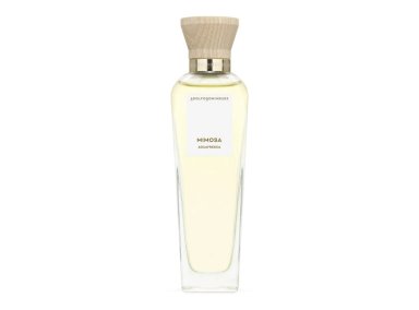 PERFUME ADOLFO DOMINGUEZ AGUA FRESCA MIMOSA MUJER EDT 120 ML - 2